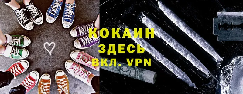 Где продают наркотики Кирс Codein  COCAIN  Меф мяу мяу  Каннабис  A-PVP  Псилоцибиновые грибы 